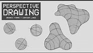 Perspective Drawing 21 - Organic Forms and Contour Lines