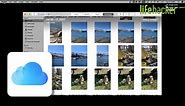 How to Organize All Your iCloud Photos