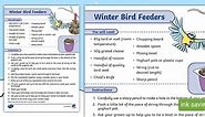 How to Make a Winter Bird Feeder Step-by-Step Instructions