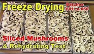 Freeze Drying & Rehydrating Sliced Mushrooms - Batch 625