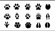 Learn Animal Footprints In English! Types of Animal Footprints : Horse,Deer,Bear,Sheep,Cow & More
