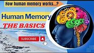 Human Memory - The Basics | How Human Memory Works?