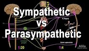 Autonomic Nervous System: Sympathetic vs Parasympathetic, Animation