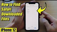 iPhone 12: How to Find Safari Downloaded Files