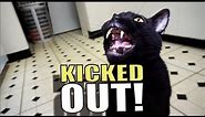 Talking Kitty Cat 51 - Kicked Out!