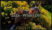 ZaZa - What I Do? (Lyrics)