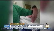 Video shows newborn walking?