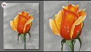 Master the Art of Rose Painting | A Step-by-Step Tutorial for Beginners