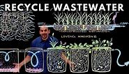 How to Recycle Waste Water Using Plants