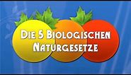 Die 5 Biologischen Naturgesetze - Die Dokumentation