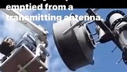 Watch as 150 kilograms of acorns stored by a squirrel are emptied from a transmitting antenna | Sandy Cherry