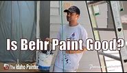 Behr Paint Review. Should you buy this paint?