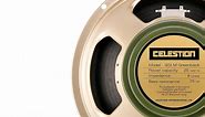 How to Choose Guitar or Bass Amp Replacement Speakers - The HUB - The Hub