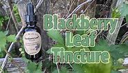Blackberry Leaf Tincture