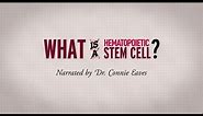 What is a hematopoietic stem cell? Narrated by Dr. Connie Eaves