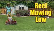 Gas Reel Mowers - Reel Mowing Low Grass