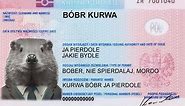 What Does Kurwa Bóbr Mean? Polish Beaver Video Memes Explained