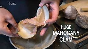 MAHOGANY clam at restaurant UNDER in Lindesnes, Norway