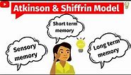 Atkinson and Shiffrin model of memory|Multi store model of memory|Sensory, STM, LTM | Psychology 🧠🧠