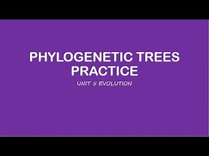 AP Biology: Phylogenetic Tree Practice