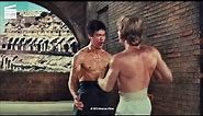 The Way of the Dragon (Return of the Dragon) - Bruce Lee vs Chuck Norris