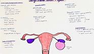 Benign Ovarian Tumors + Ovarian Cysts - histology + clinics
