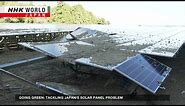 Solar power problem in Japan: it can’t recycle its old panelsーNHK WORLD-JAPAN NEWS