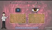 Science Project | Human Eye vs Camera