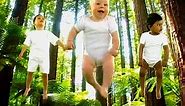 Learn with Nature - Forest - for babies, toddlers, infants & preschoolers