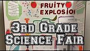 20 Science Fair Project Ideas for 3rd Grade - STEM Activities