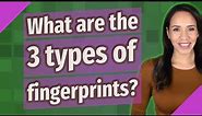 What are the 3 types of fingerprints?