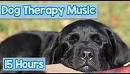 PET MUSIC THERAPY for Dogs, Natural Remedy to Anxiety and Loneliness. De-Stress and Relax Dogs!
