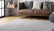 nuLOOM Marleen Contemporary Shag Area Rug, 6' Square, Silver