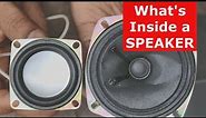 What's Inside a SPEAKER