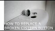 How To Replace A Broken Cistern Button