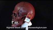 HalloweenAsylum.com - Nightowl Blood Skull