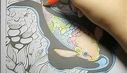 Time Lapse of Friendly Koi Fish Coloring Page
