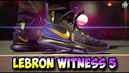 Nike Lebron Witness 5 Performance Review!