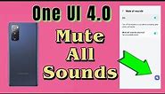 how to turn on mute all sounds for Samsung phone with One UI 4.0