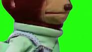 Pedro Monkey Puppet - Awkward Look Meme - Green Screen