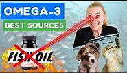 BEST Omega-3 Source for Dogs & Cats | Spoiler Alert: It's NOT Fish Oil!