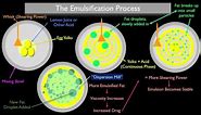 The Emulsification Process