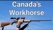 Cooey .22 Caliber Rifle is Canada's Workhorse Rifle - Model 60 / 600 / Cooey Canuck
