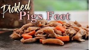 How to Make Pickled Pigs Feet - Food from the South