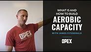 What Is and How To Build Aerobic Capacity?