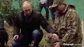 Vladimir Putin visits leopard sanctuary