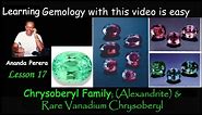 L 17 E | Chrysoberyl Family with Alexandrite & Rare Vanadium Chrysoberyl | Chrysoberyl Cat's-eye