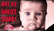 Why Do Babies Stare At You? | OmniLearners