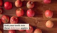 The Best Apples For Eating
