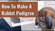 How To Make A Rabbit Pedigree - Using a free tool and template